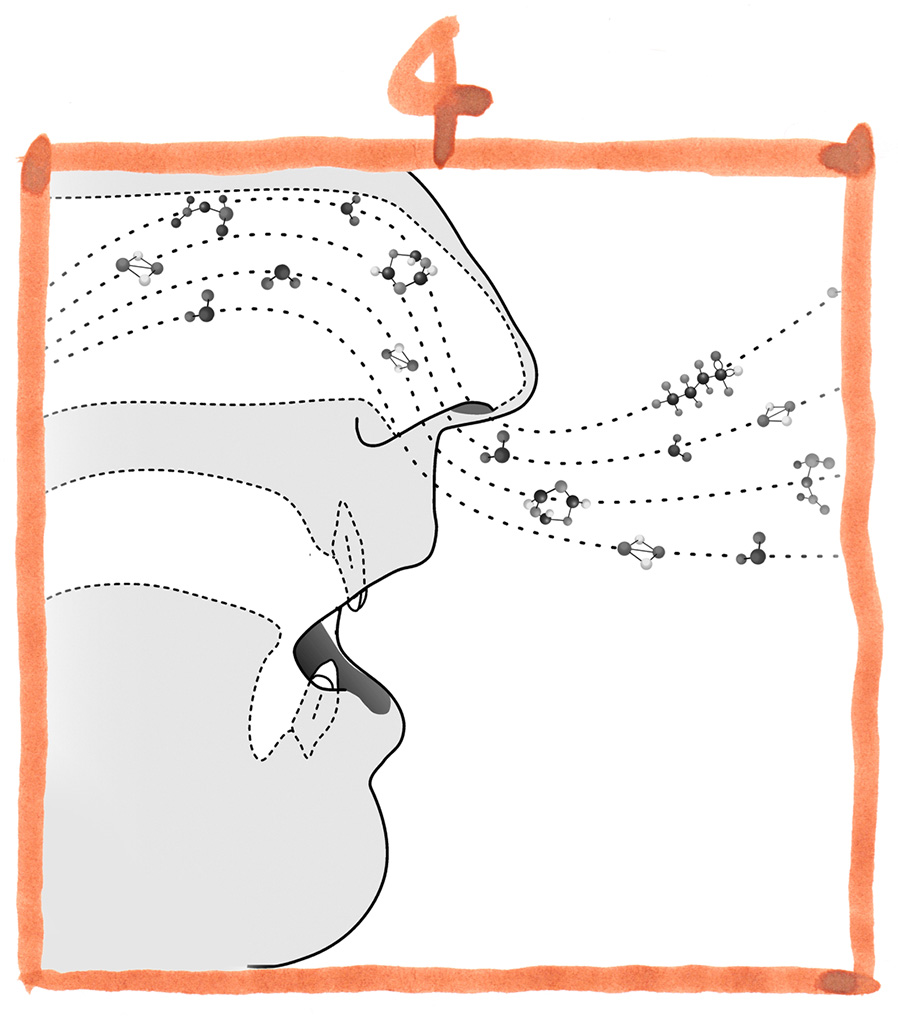 Beschreibung des Erlebens 4 Riechen