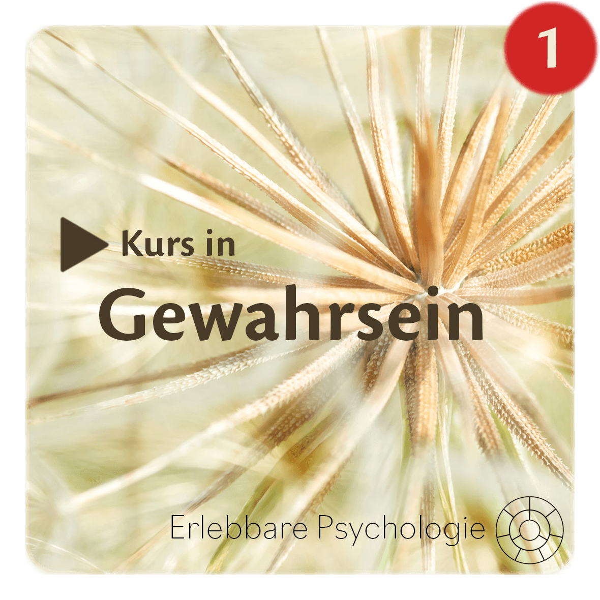 Kurs in Gewahrsein