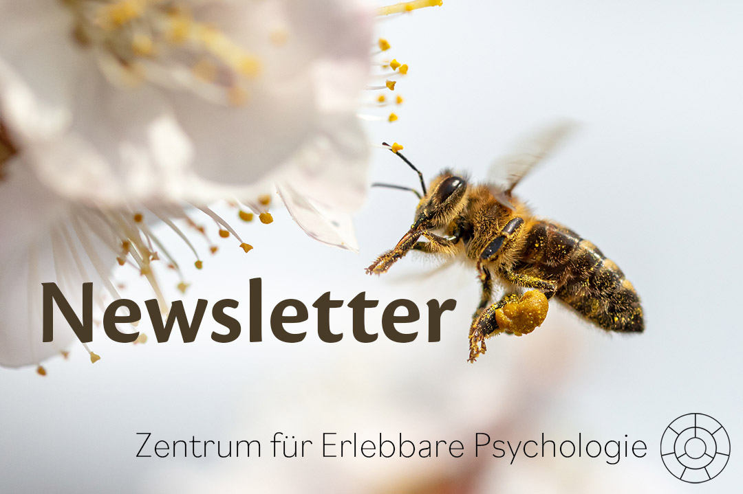 Newsletter Erlebbare Psychologie