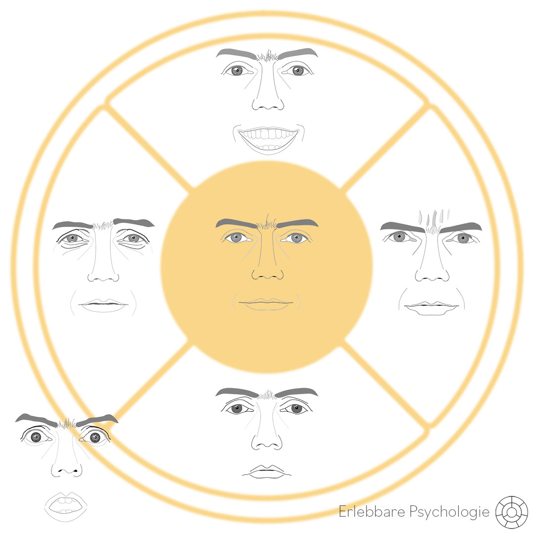 Sechs Grundgefühle Erlebbare Psychologie